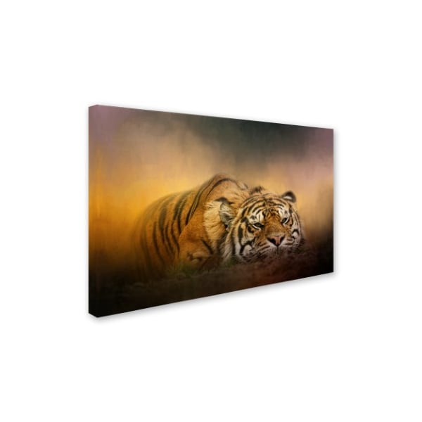 Jai Johnson 'The Tiger Awakens' Canvas Art,30x47